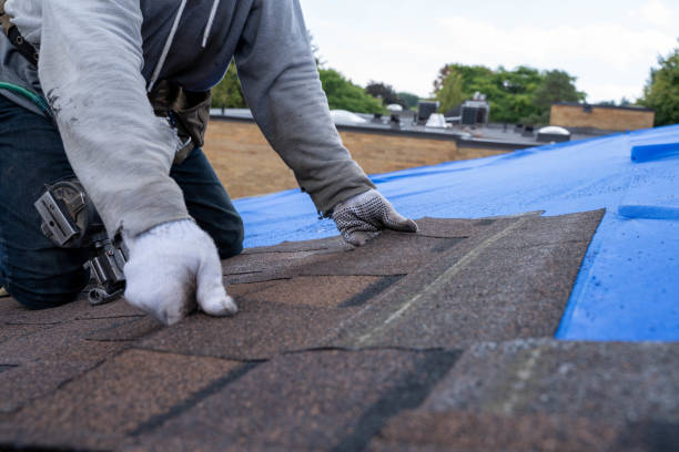 Best Roof Maintenance Services  in Farmersville, CA