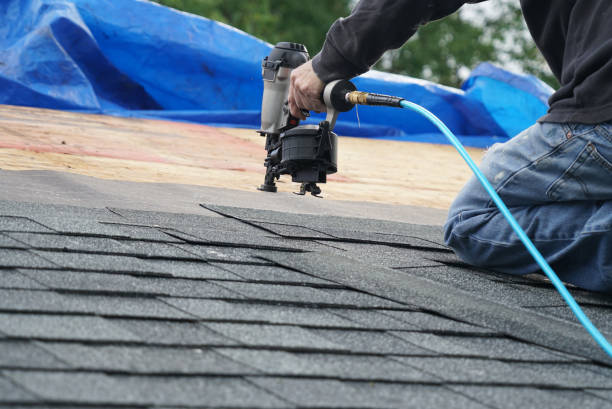 Best Roof Gutter Cleaning  in Farmersville, CA